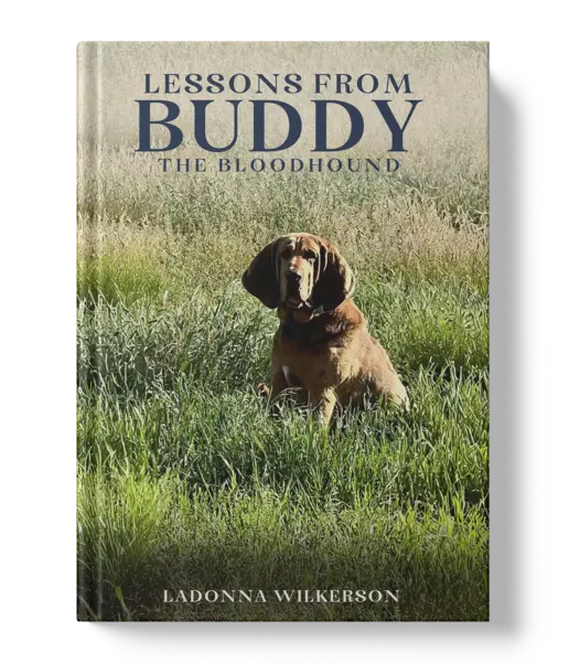 Book5
